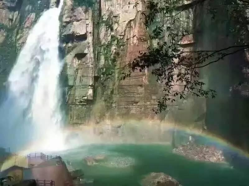 动物帮帮忙保卫家园