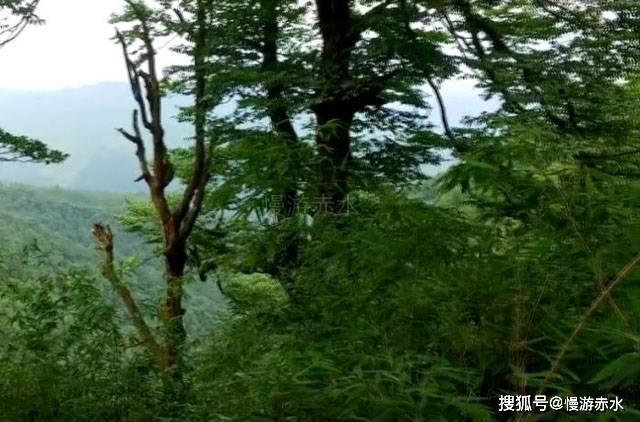 我市企业登上全球“陶瓷新材供应链”百强榜