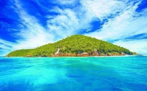 救援受困的萌兔