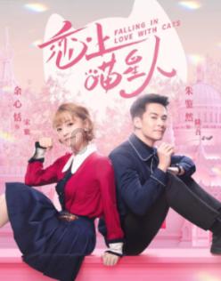 “儿童版四六级”，怎么就成了小学生标配？