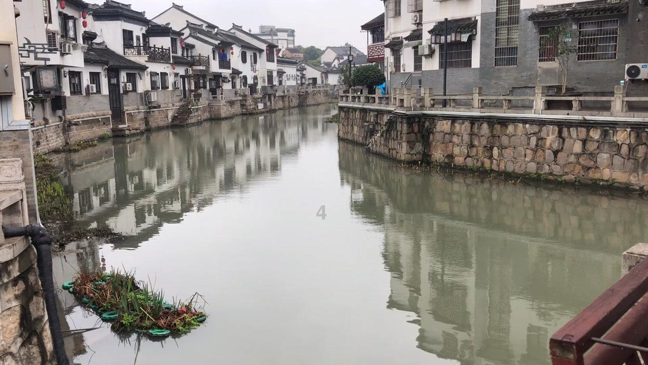 第八届常州包子大会火热开幕,满满的书香和年味