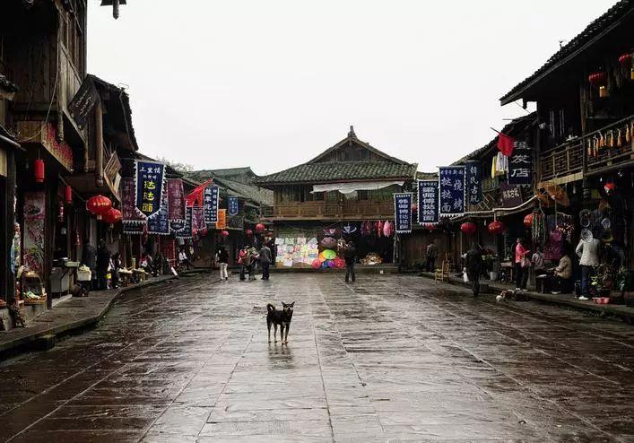 明日之后